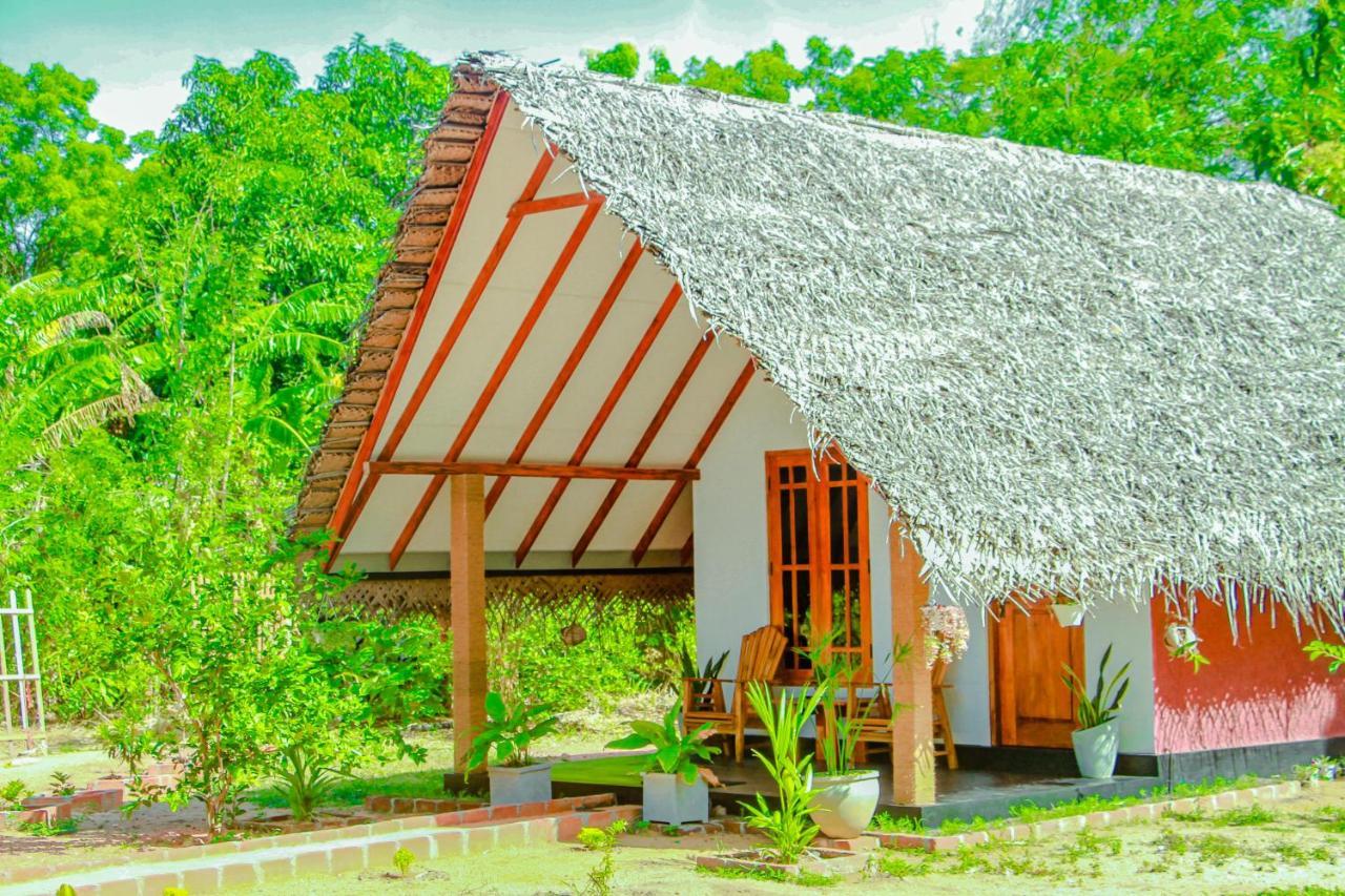 Sigiri Enaya Cottage Sigiriya Exterior photo